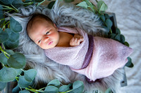 Lillian | Newborn